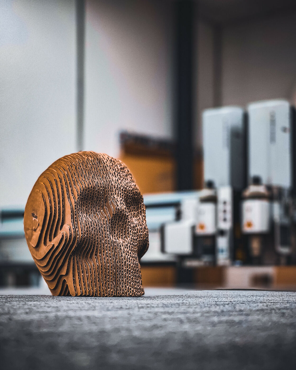 Cardboard skull sample
